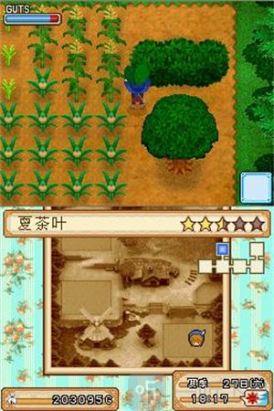 牧场物语风之集市汉化版下载安卓版