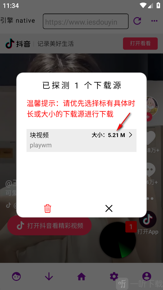 网页视频下载大师免费下载