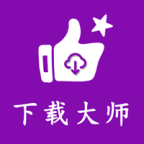 网页视频下载大师免费下载