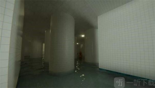 POOLS池核下载手机版