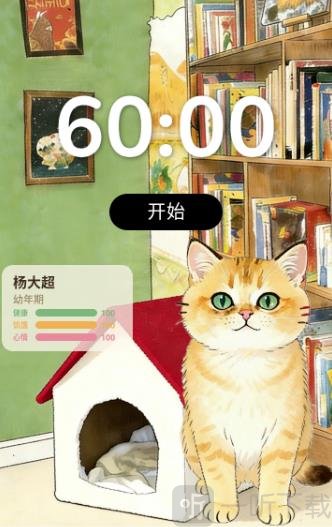 哆点专注app安卓版下载