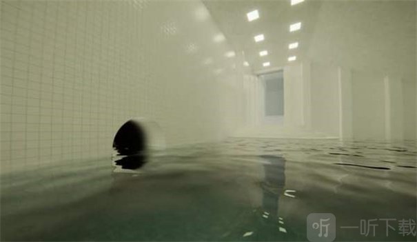 POOLS池核下载手机版
