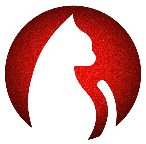 追剧猫视频免费下载