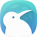 Kiwi Browser浏览器安卓版下载