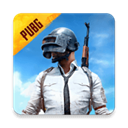 pubg体验服最新版手游下载